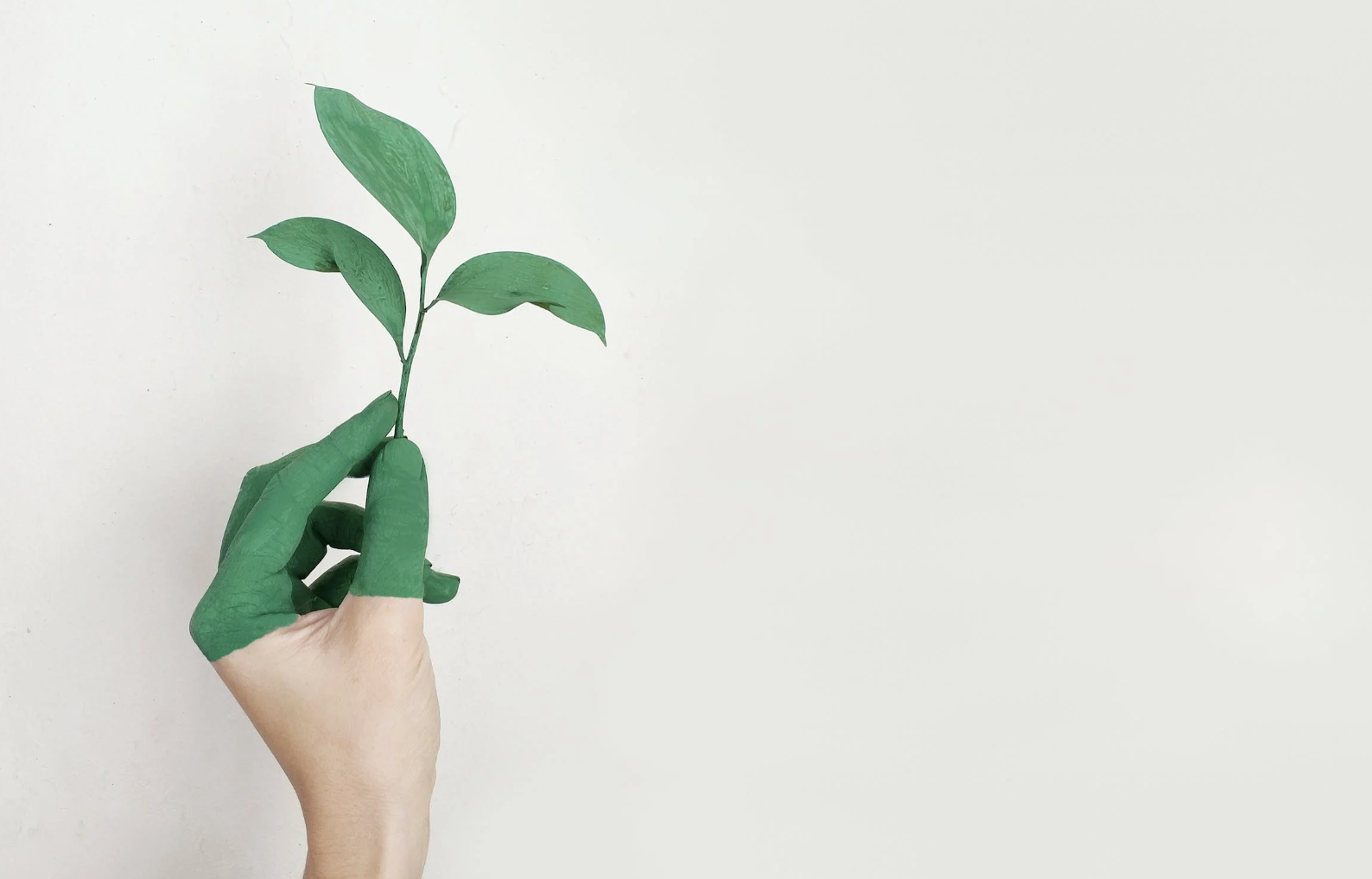 greenwashing-greenwashes