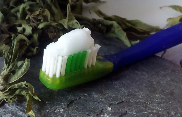 Cepillo con cabezal extraíble y con pasta de dientes casera.