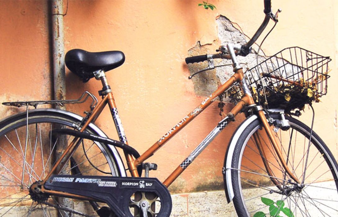 bicicletaItaliana-art